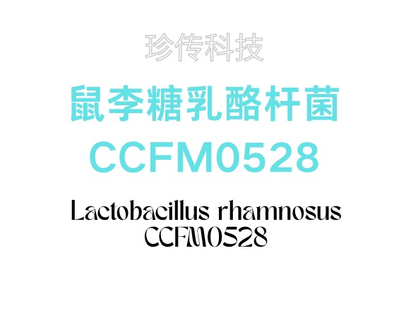 鼠李糖乳酪桿菌CCFM0528